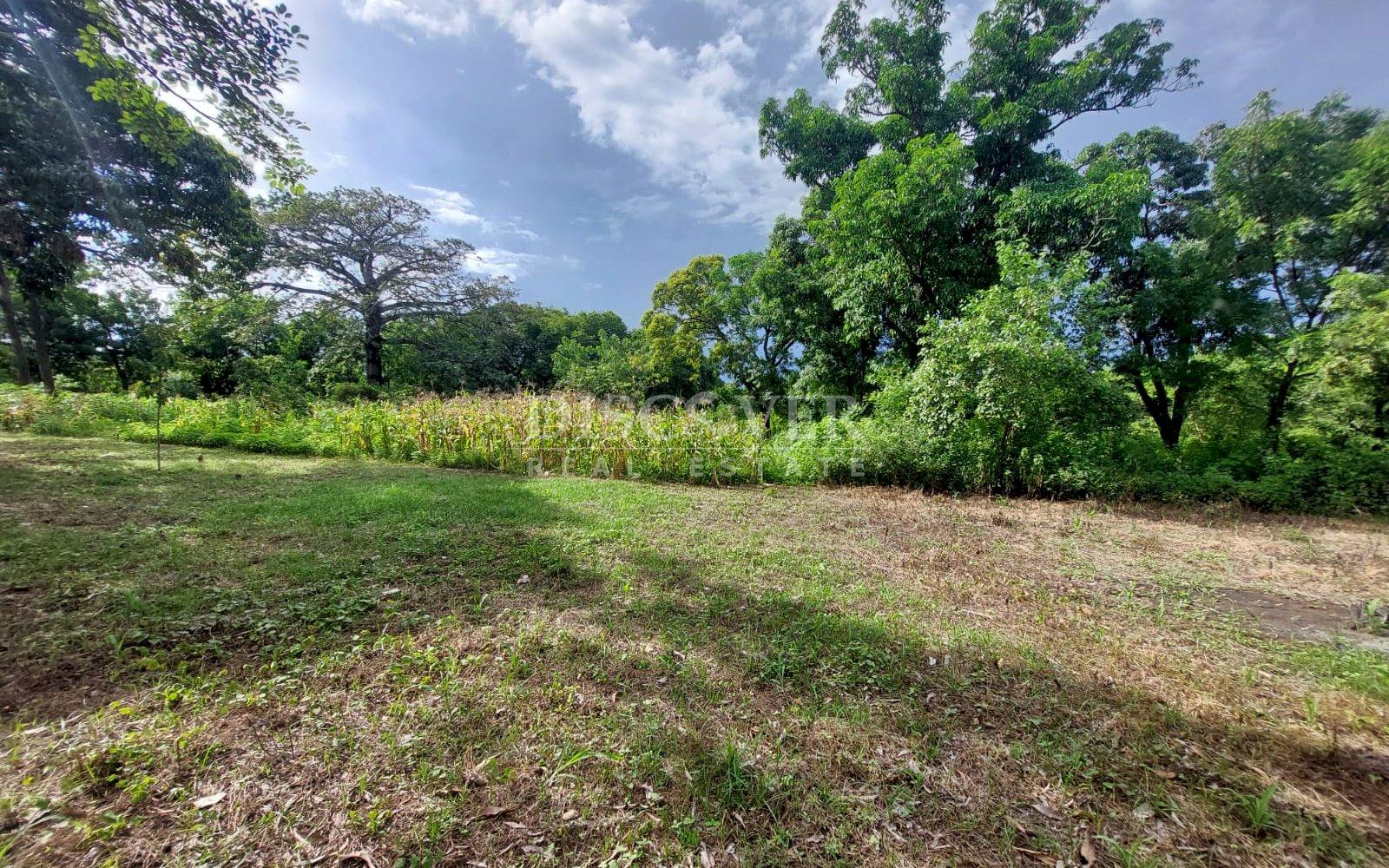  Land for sale in Nindiri