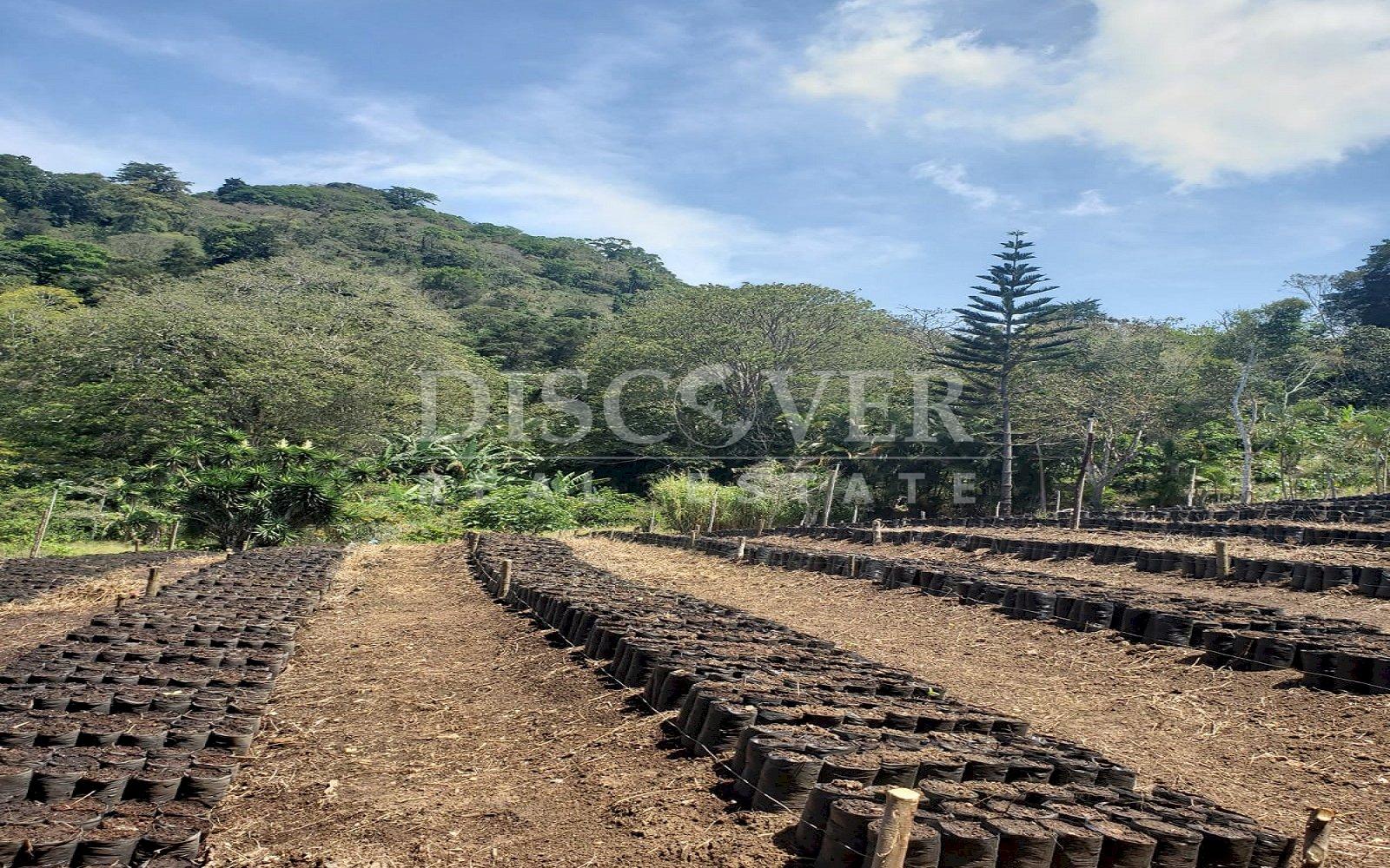 https://images.discovernica.com/propiedad/1600/bf48876f_3961_4ce8_aaeb_6f7f7432b8a2.jpg