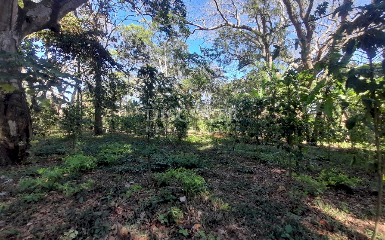 https://images.discovernica.com/propiedad/1600/bgrehmrykdtu.jpg