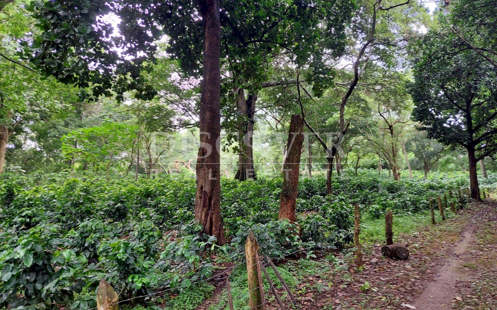 https://images.discovernica.com/propiedad/1600/c5838b7d_7eb6_4c08_b5e2_1b642fe59378.JPG