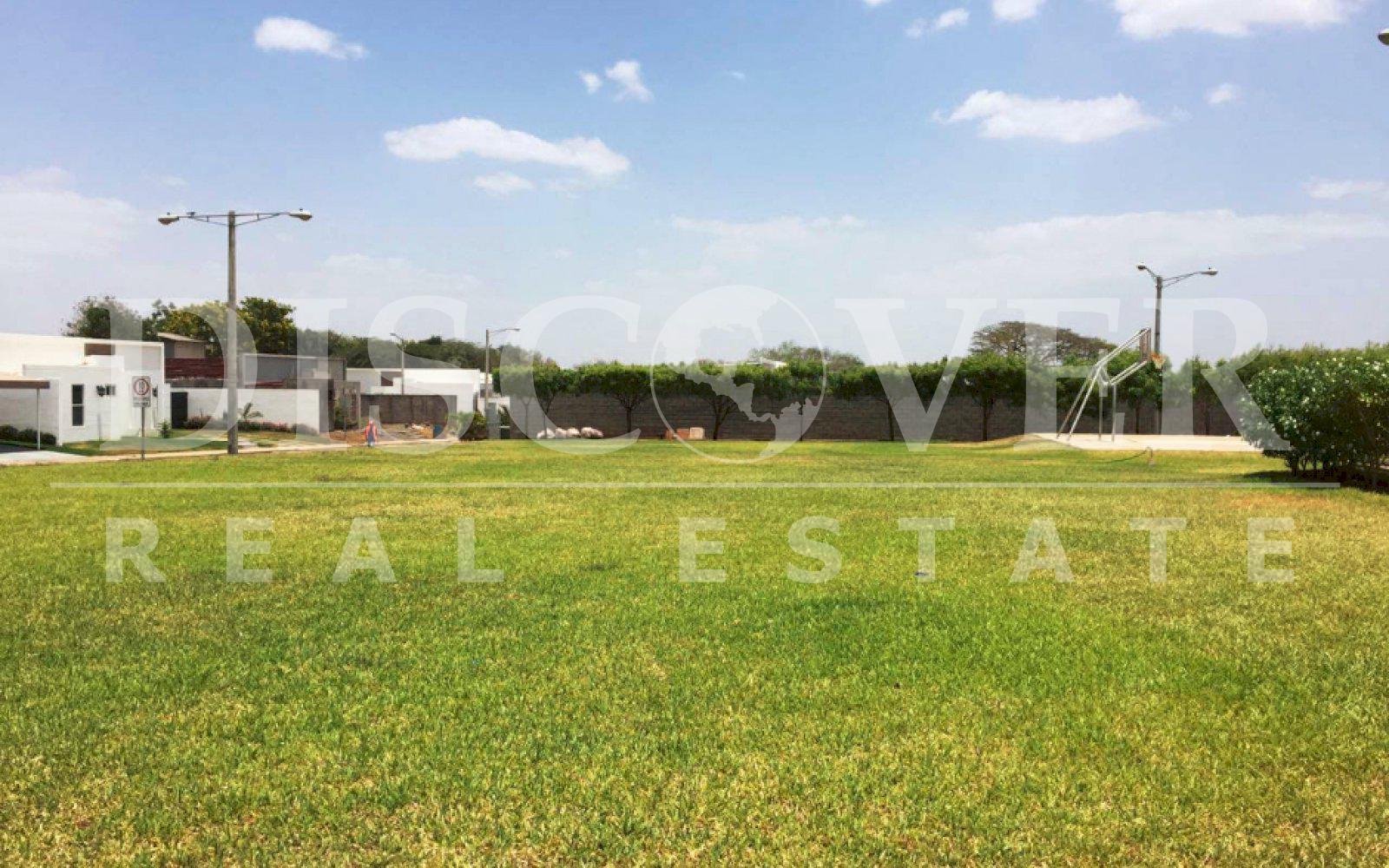 Imagen 5 de la galería