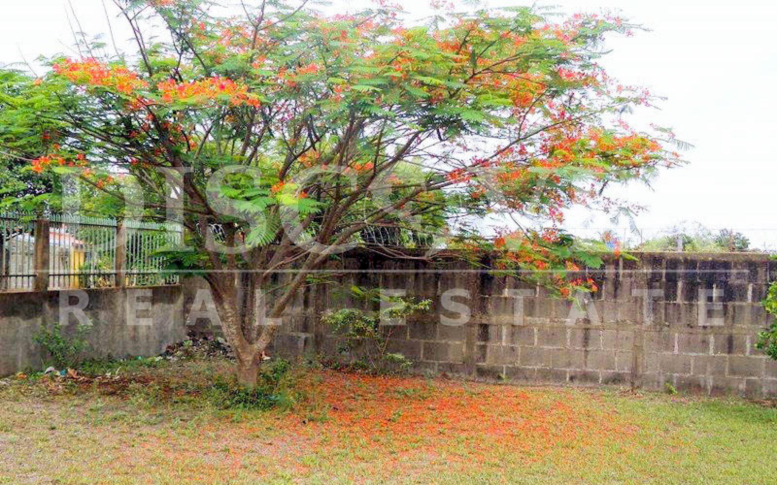https://images.discovernica.com/propiedad/1600/casa_venta_avenida_ruben_dario_id_10727.jpg