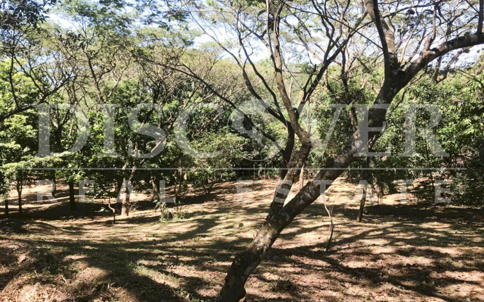 Imagen 4 de la galería