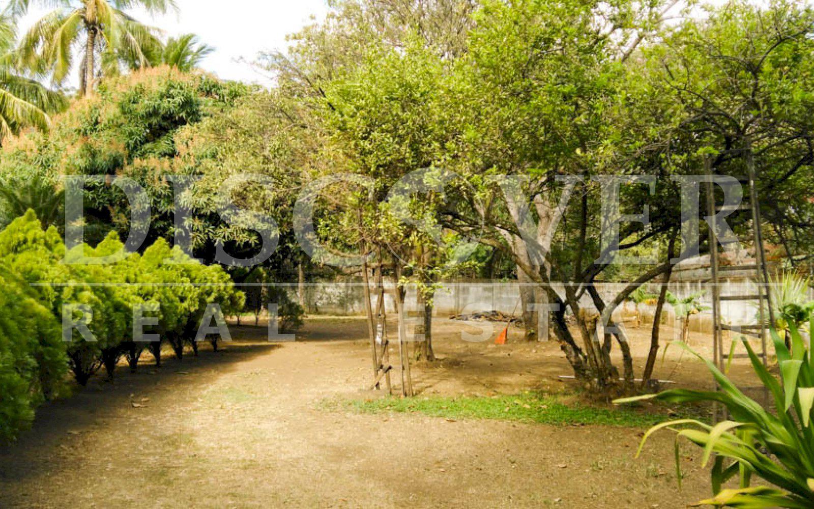 Imagen 12 de la galería