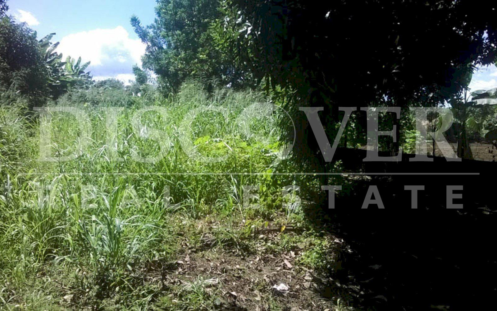 https://images.discovernica.com/propiedad/1600/casa_venta_renta_residencial_palmetto_id_10402_2_1.jpg
