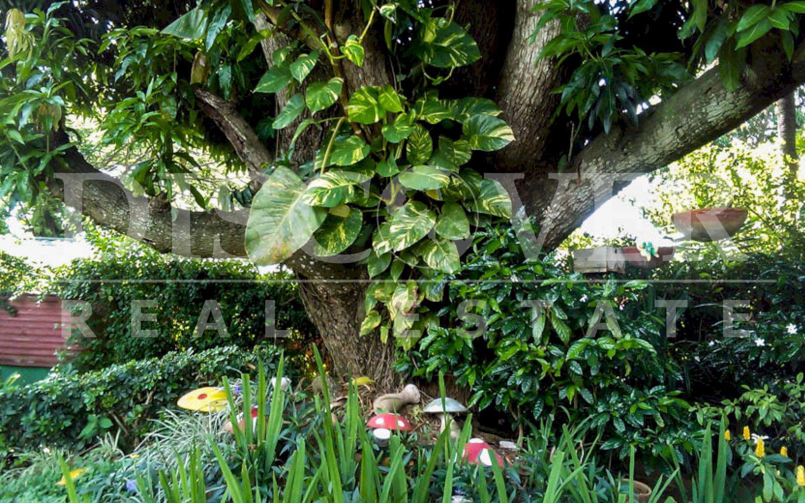 https://images.discovernica.com/propiedad/1600/casa_venta_renta_santo_domingo_managua_nicaragua_2_500_vrs2_300_mts2_construccion_U_380_000_U_2_000_4_habitaciones_3.5_ba_os.jpg