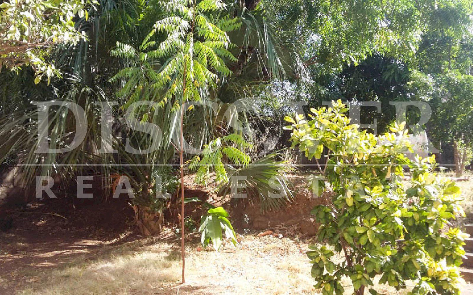 https://images.discovernica.com/propiedad/1600/casa_venta_reparto_san_juan_id_10598_5.jpg