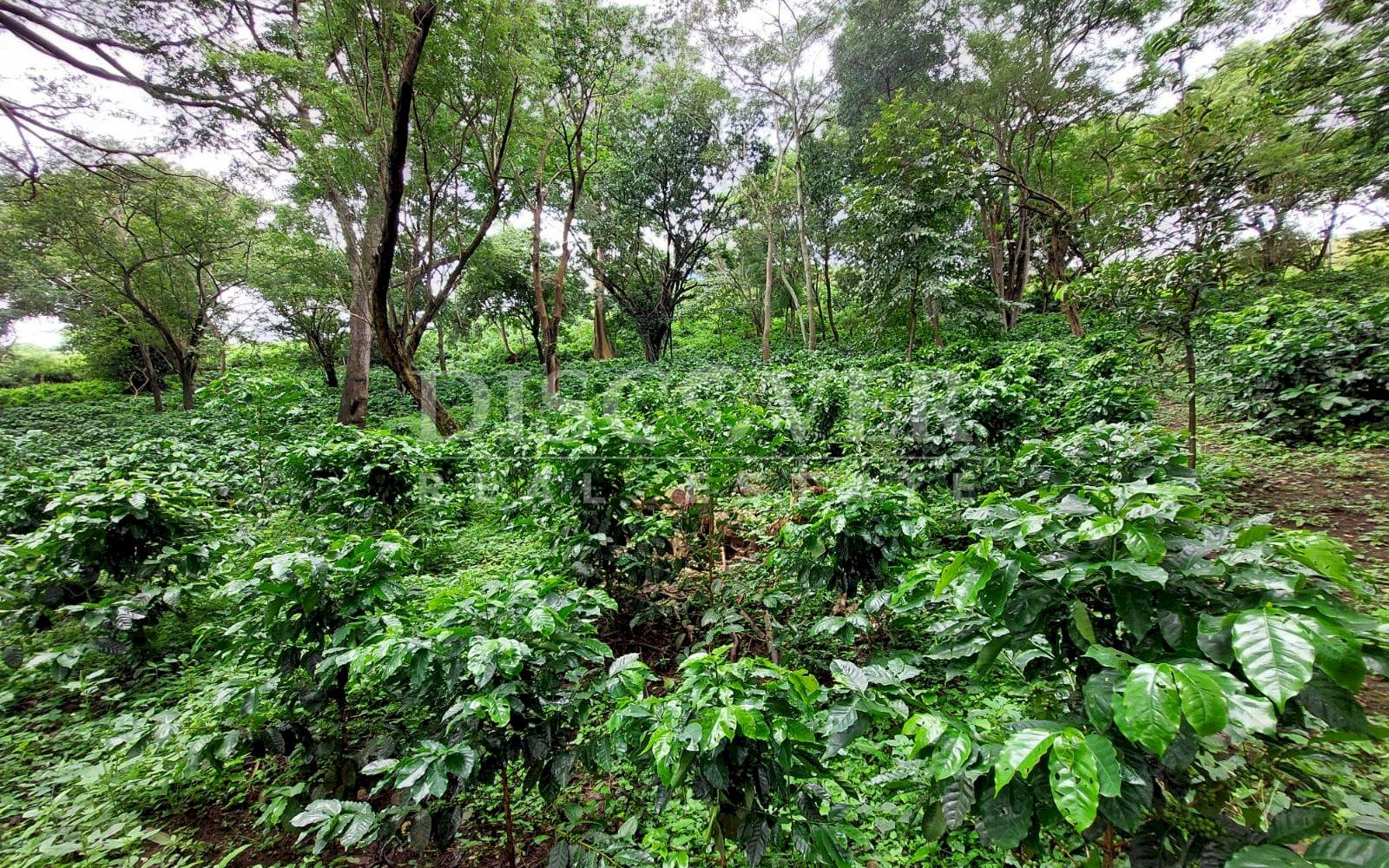 https://images.discovernica.com/propiedad/1600/cc8ee2c1_8d30_4fb7_a312_40e0c1d24e40.JPG
