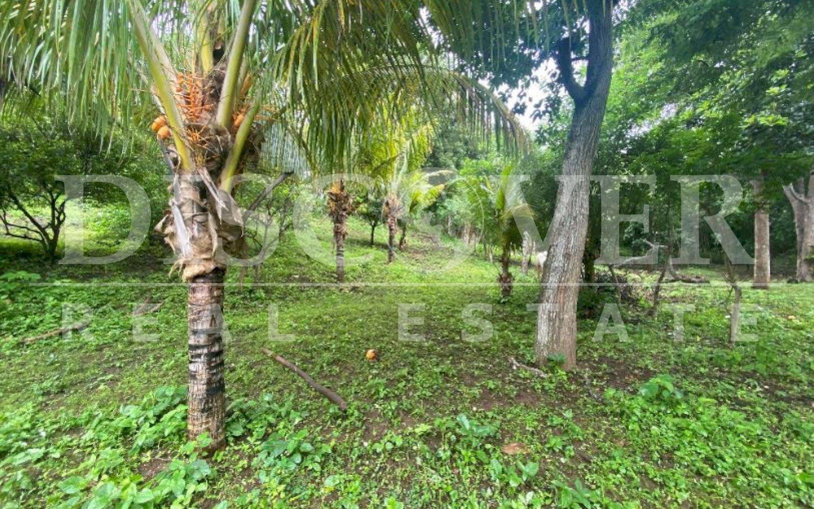 https://images.discovernica.com/propiedad/1600/cvetrytuilykturyt.JPG