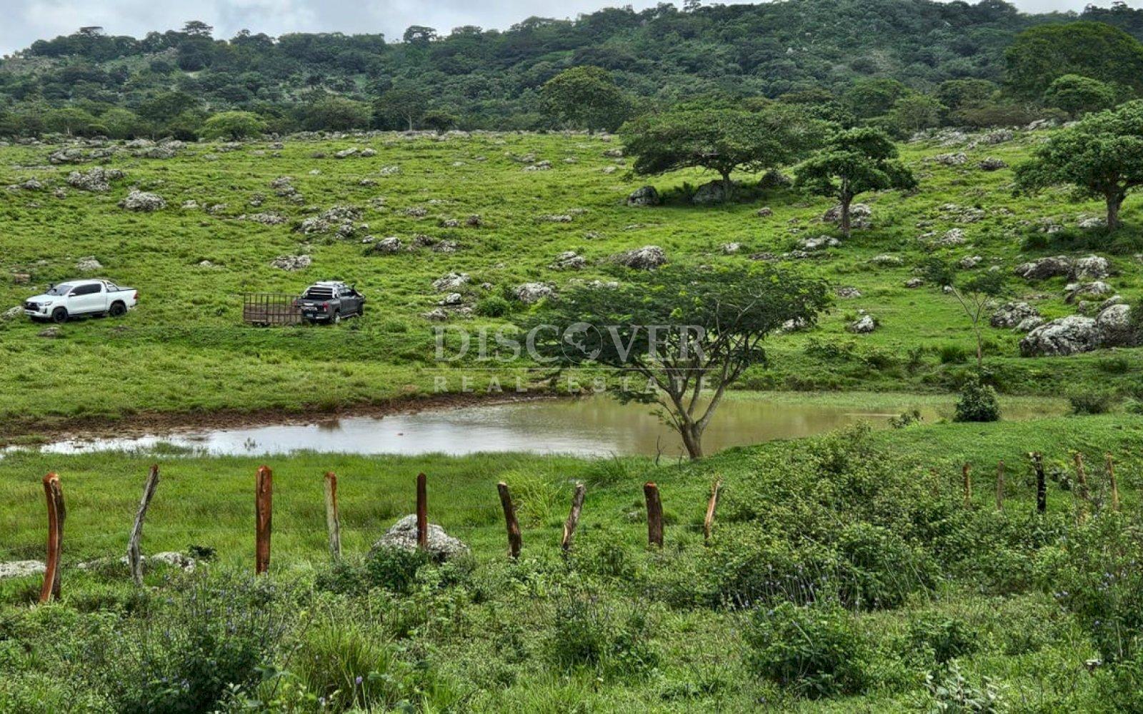  Cattle ranch for sale on Carretera Norte 