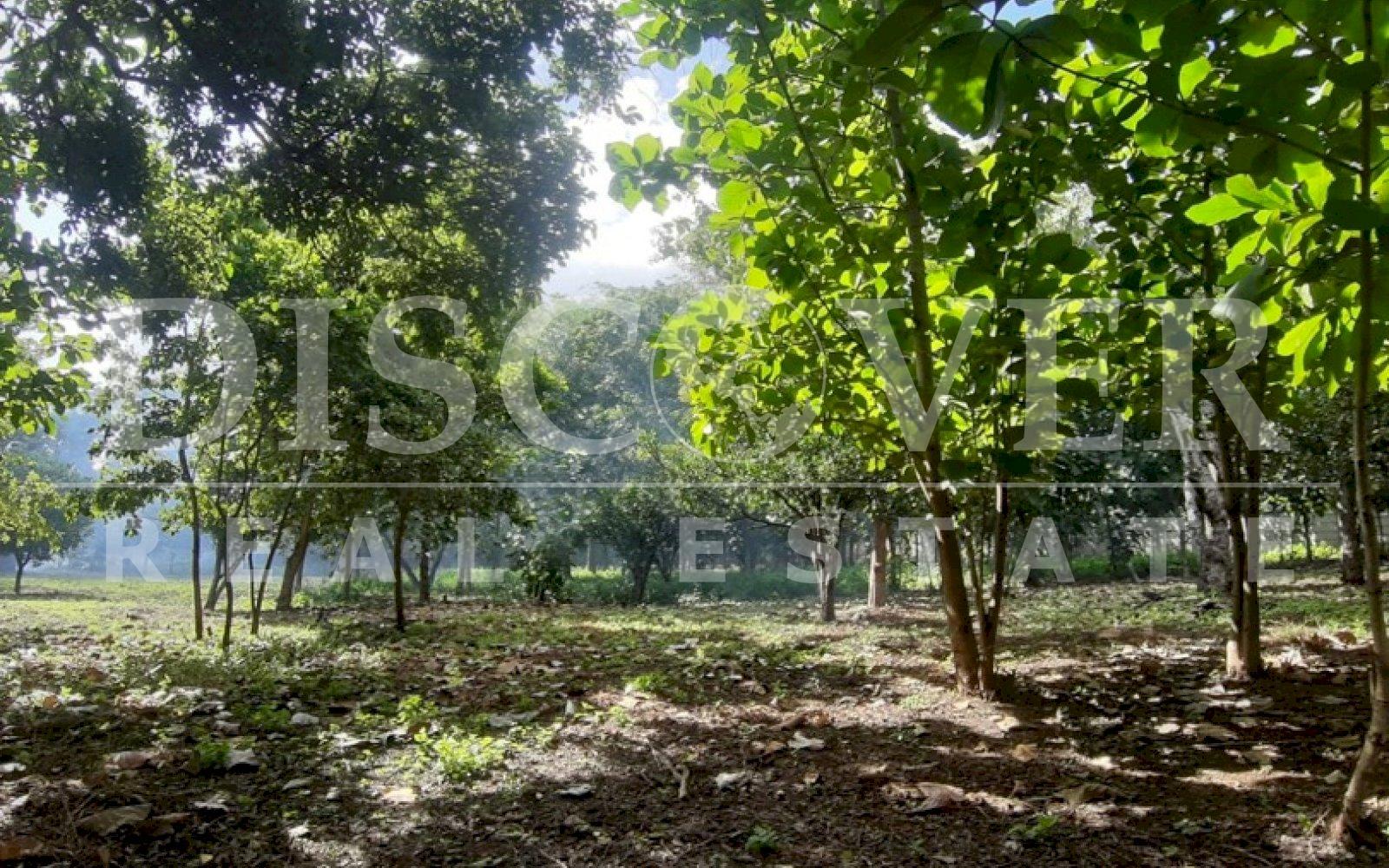 https://images.discovernica.com/propiedad/1600/e3wrgehtsnrewszedyrftgjh.jpg