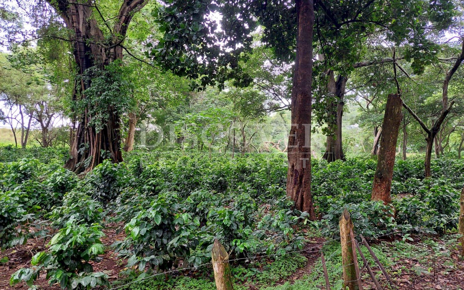 https://images.discovernica.com/propiedad/1600/e4d34571_3574_42ad_b9d0_f208438abbd2.JPG