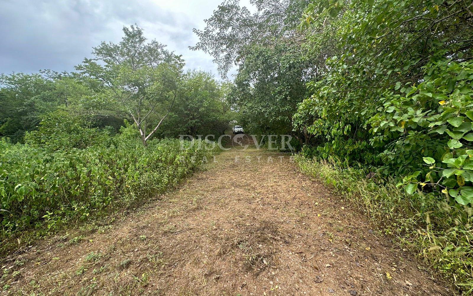  Land for sale in Altos de Ticomo Urbanization.