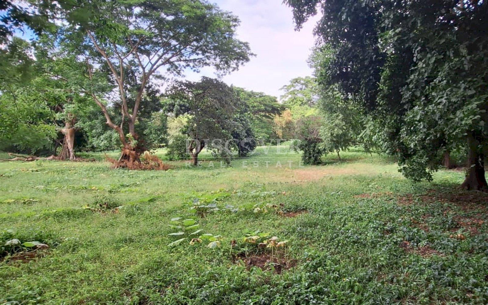 Imagen 9 de la galería