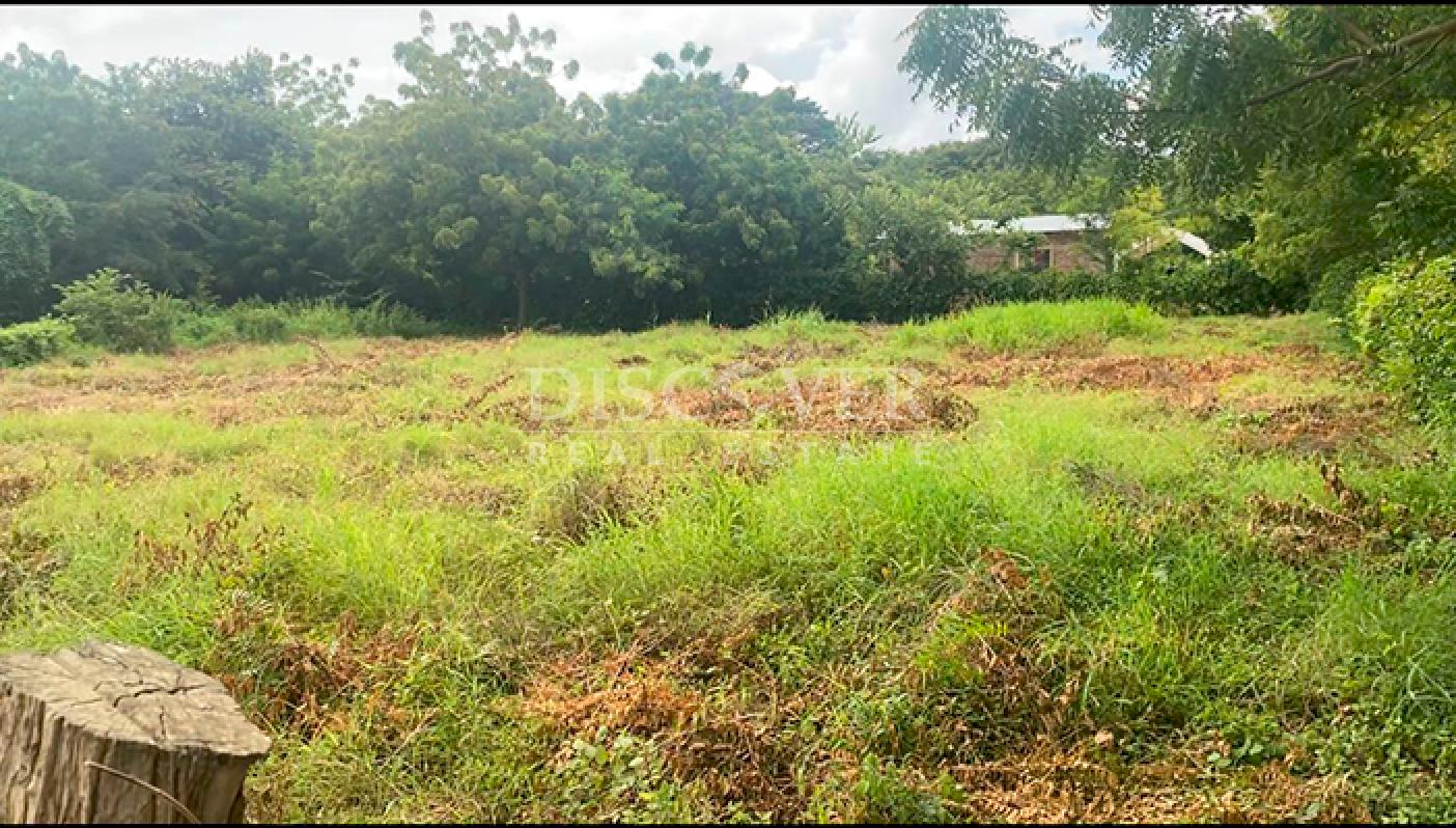 Imagen 1 de la galería