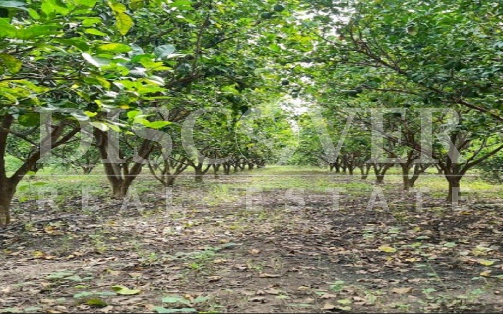 Imagen 4 de la galería