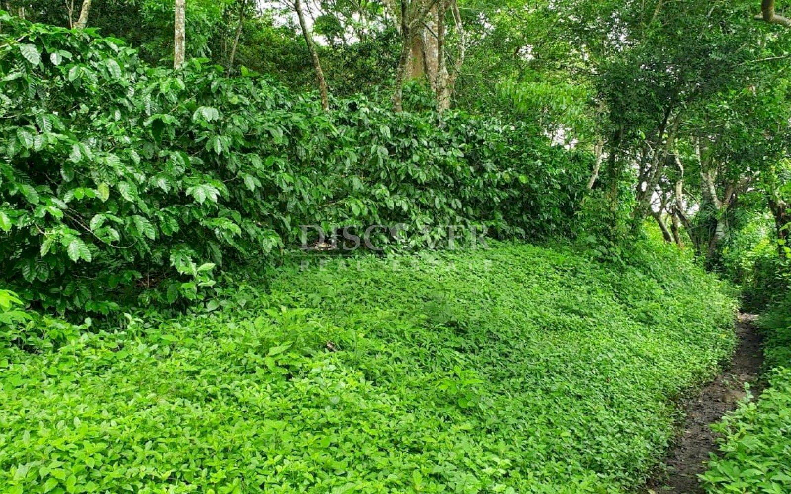 https://images.discovernica.com/propiedad/1600/egtesrerjrtj.jpg