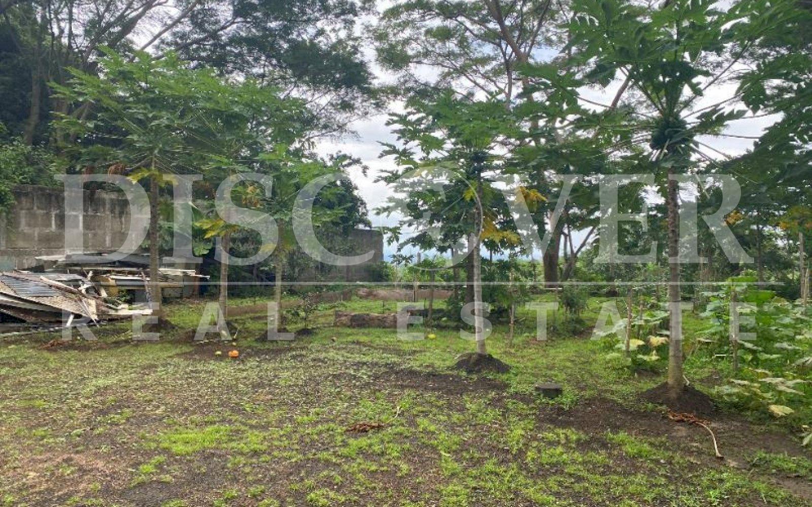  Land for Sale in Jocote Dulce ID 12737