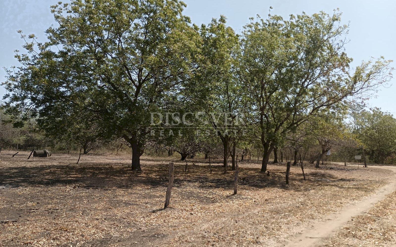 Oceanfront land for sale - La Boquita