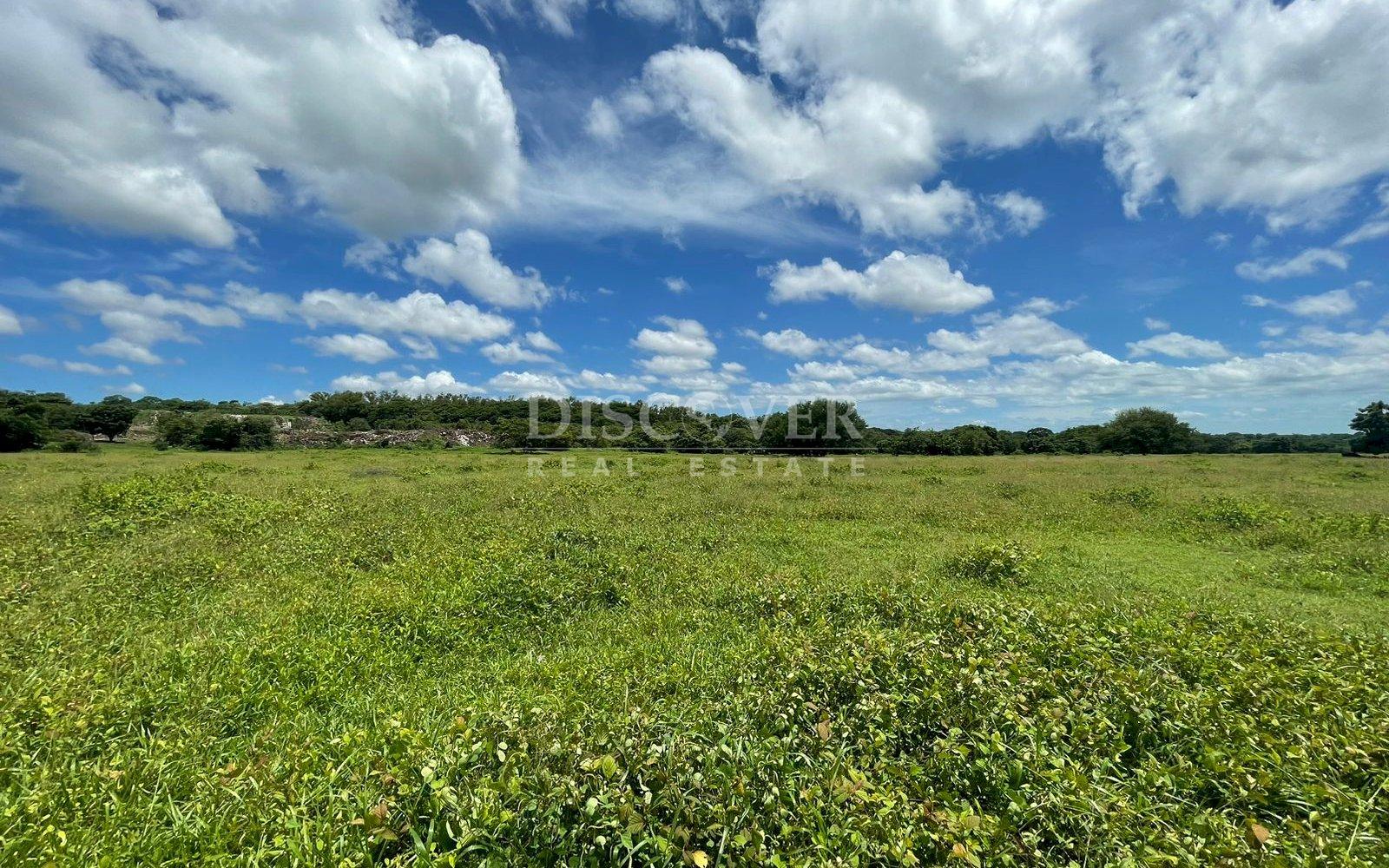 https://images.discovernica.com/propiedad/1600/f28ba0dd_2897_4481_9239_a7d0e91b8729.jpg