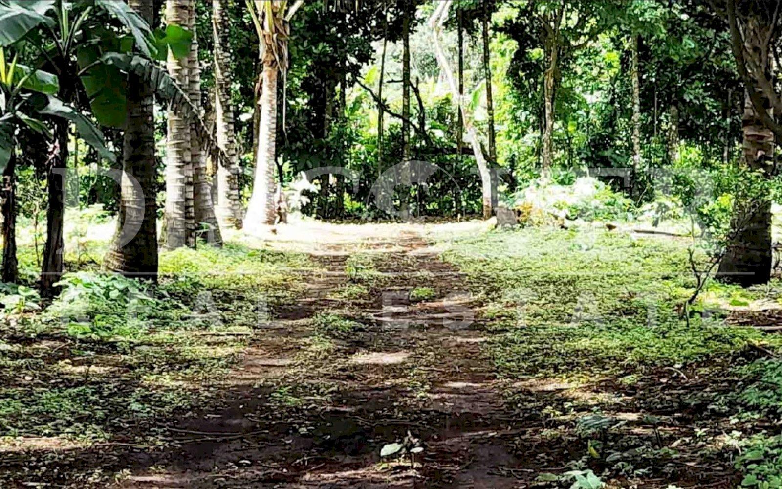 https://images.discovernica.com/propiedad/1600/f2weqfwefwf.jpg