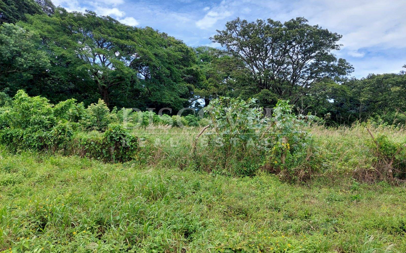 https://images.discovernica.com/propiedad/1600/f468eeac_c346_49d8_86b3_77c1082566e6.JPG