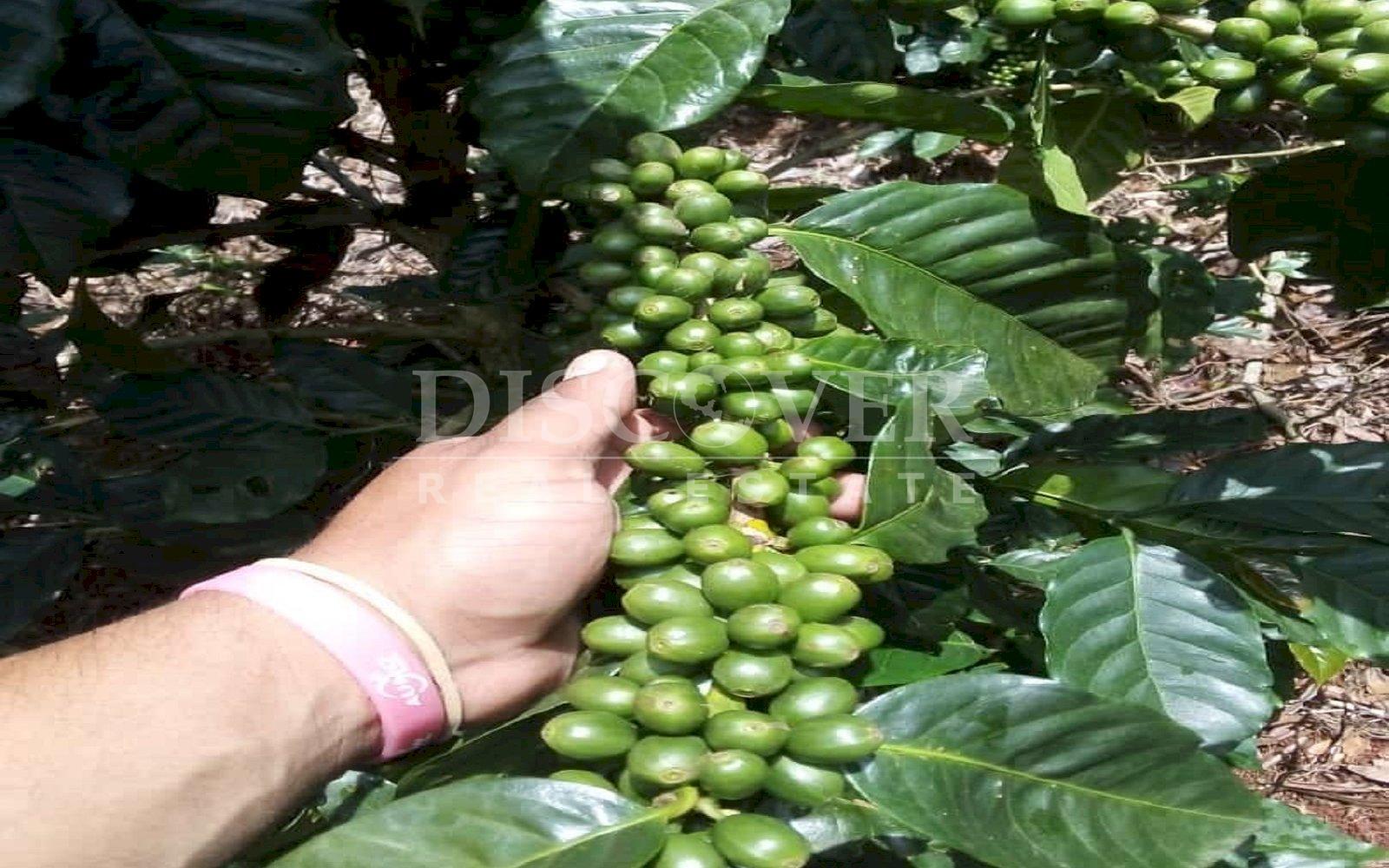 https://images.discovernica.com/propiedad/1600/f8872072_5c00_40a5_a835_68226bdfaef9.jpg