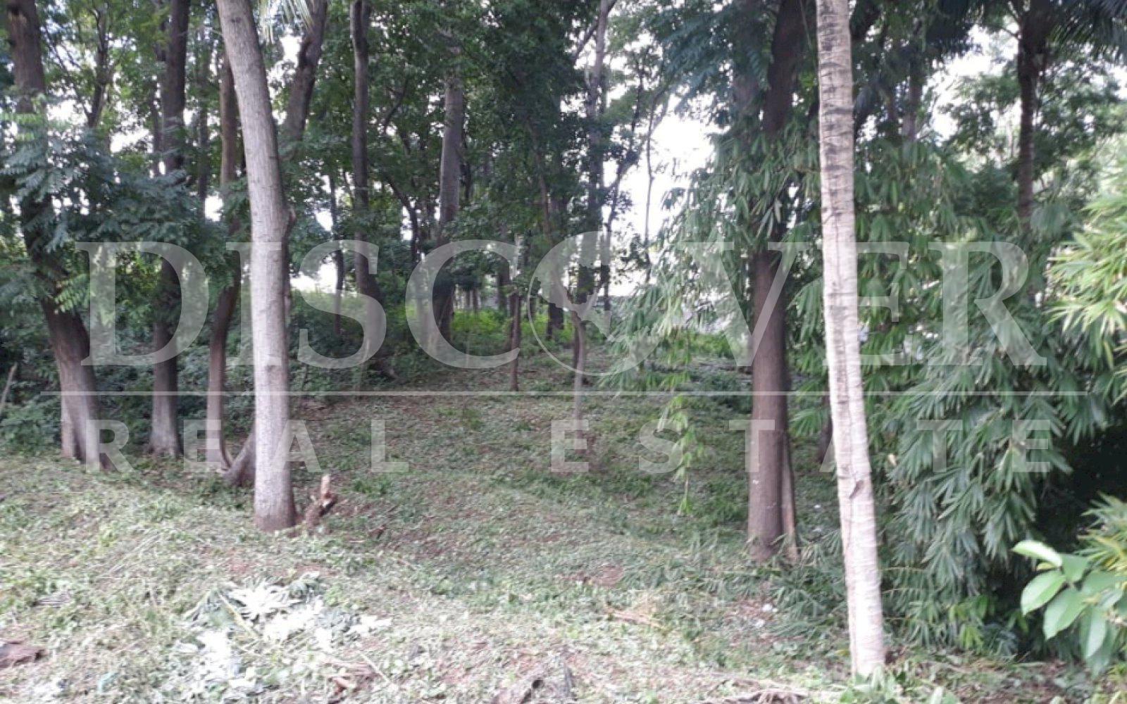https://images.discovernica.com/propiedad/1600/fdrfbgnfgb.jpg