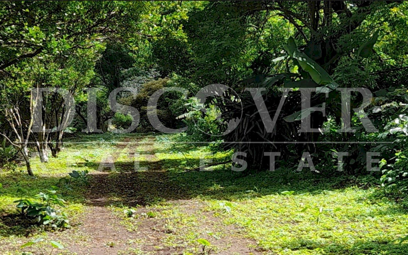 https://images.discovernica.com/propiedad/1600/fefwegwegg.jpg