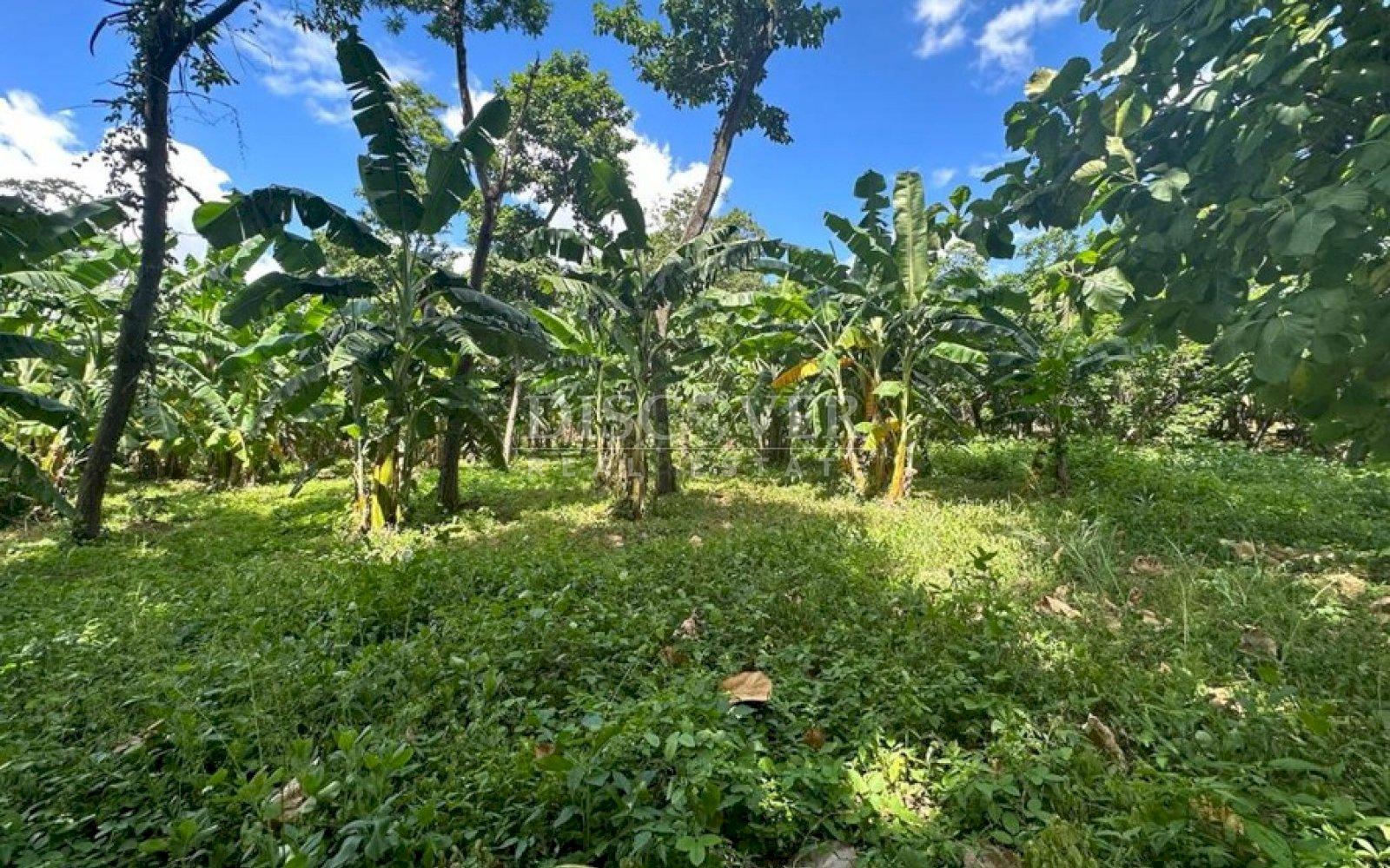 https://images.discovernica.com/propiedad/1600/fewsrghtfjyuki.jpg