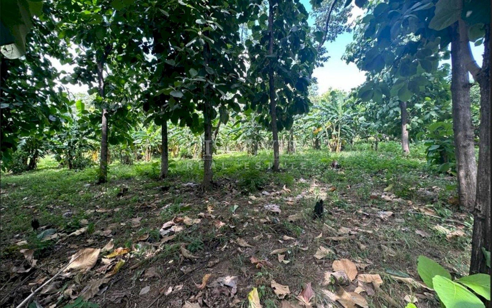 https://images.discovernica.com/propiedad/1600/fgrthjyukio.jpg