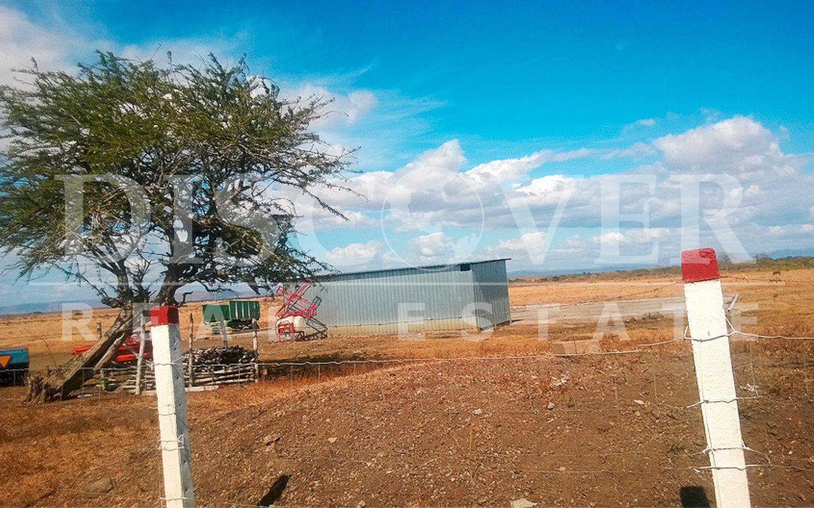 Imagen 3 de la galería