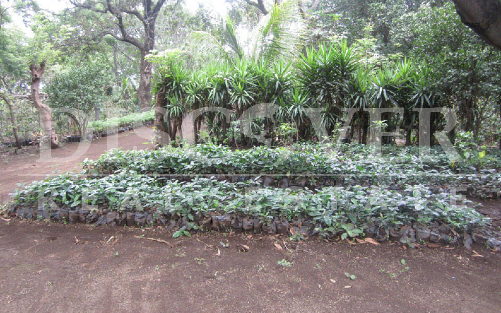 https://images.discovernica.com/propiedad/1600/finca_en_venta_en_carazo_6_.jpg