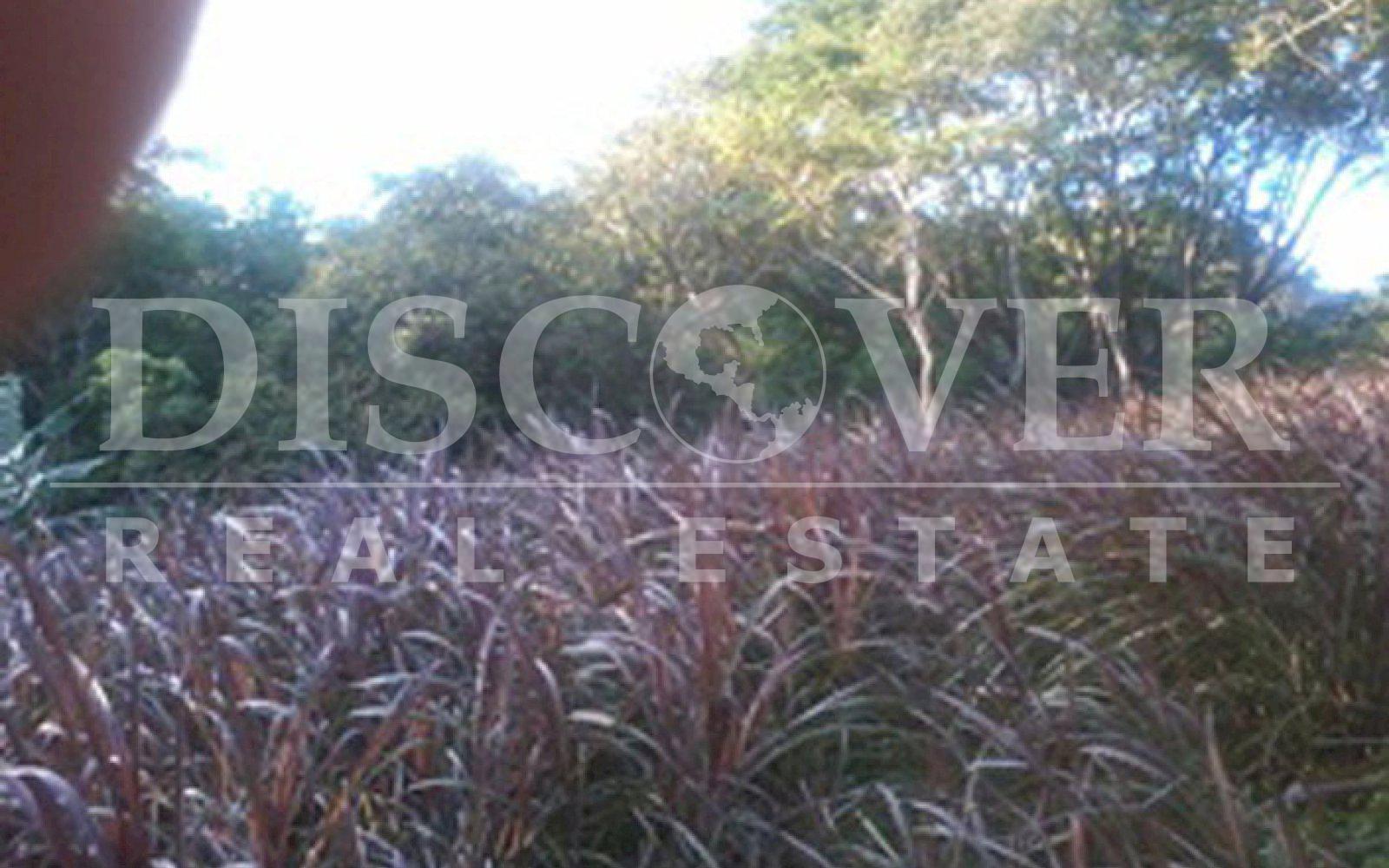 https://images.discovernica.com/propiedad/1600/finca_en_venta_en_diria_nicaragua_1_.jpg
