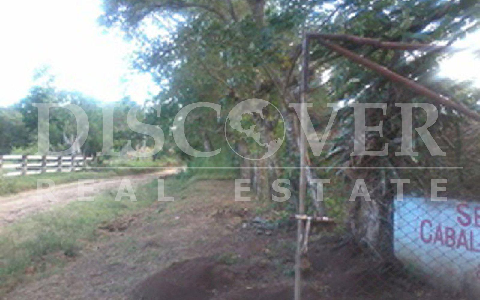 https://images.discovernica.com/propiedad/1600/finca_en_venta_en_diria_nicaragua_2_.jpg