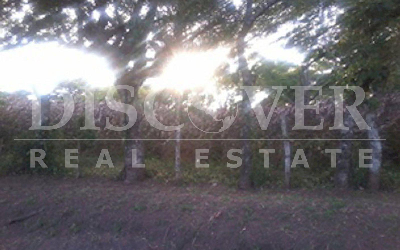 https://images.discovernica.com/propiedad/1600/finca_en_venta_en_diria_nicaragua_4_.jpg