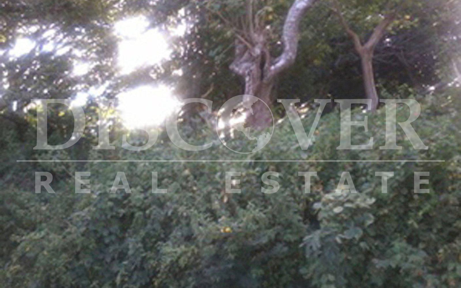 https://images.discovernica.com/propiedad/1600/finca_en_venta_en_diria_nicaragua_6_.jpg