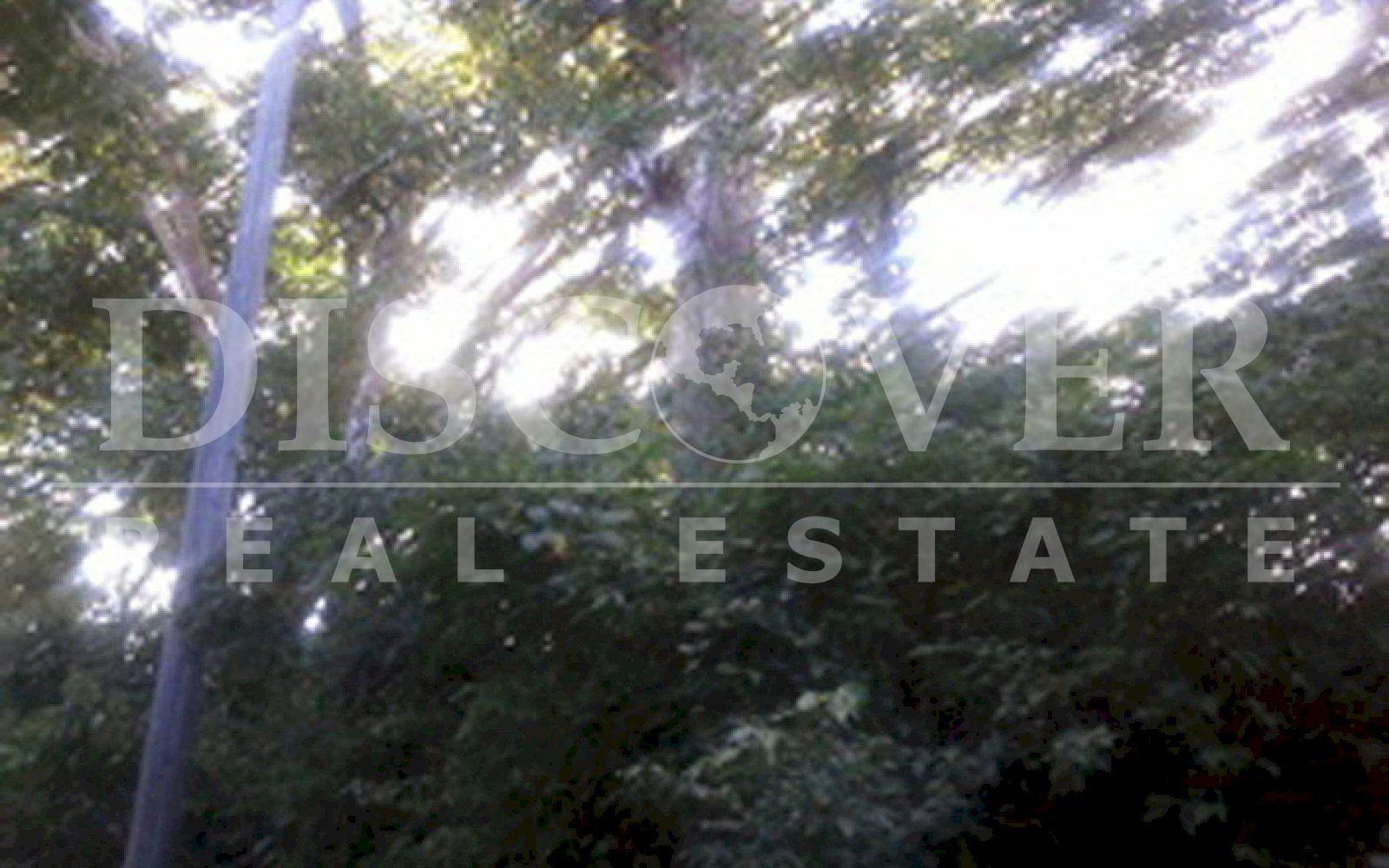 https://images.discovernica.com/propiedad/1600/finca_en_venta_en_diria_nicaragua_7_.jpg