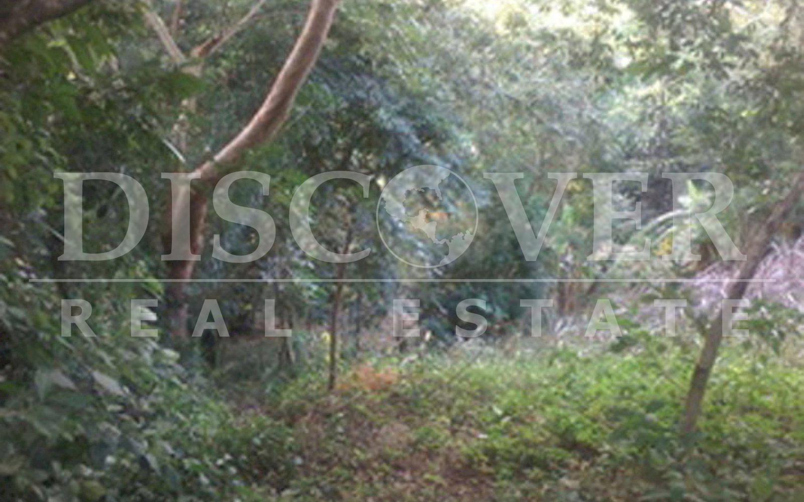 https://images.discovernica.com/propiedad/1600/finca_en_venta_en_diria_nicaragua_8_.jpg