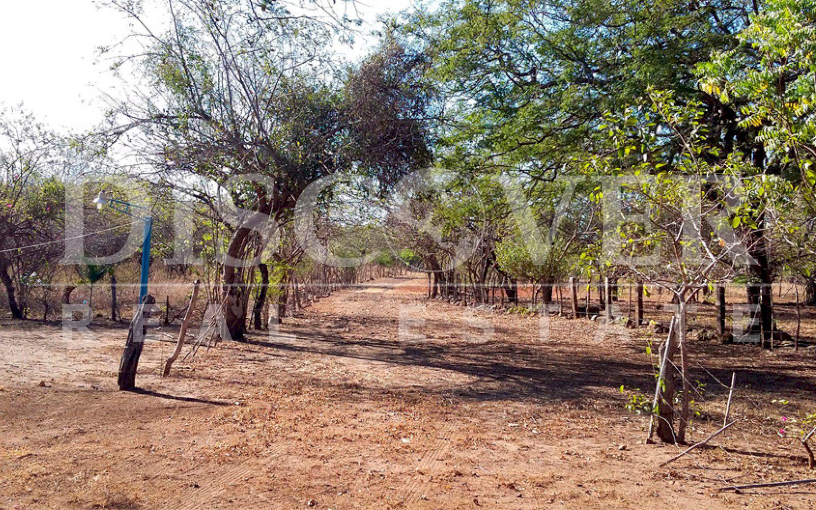 https://images.discovernica.com/propiedad/1600/finca_las_pe_itas_leon_venta_id_9714_10.jpg