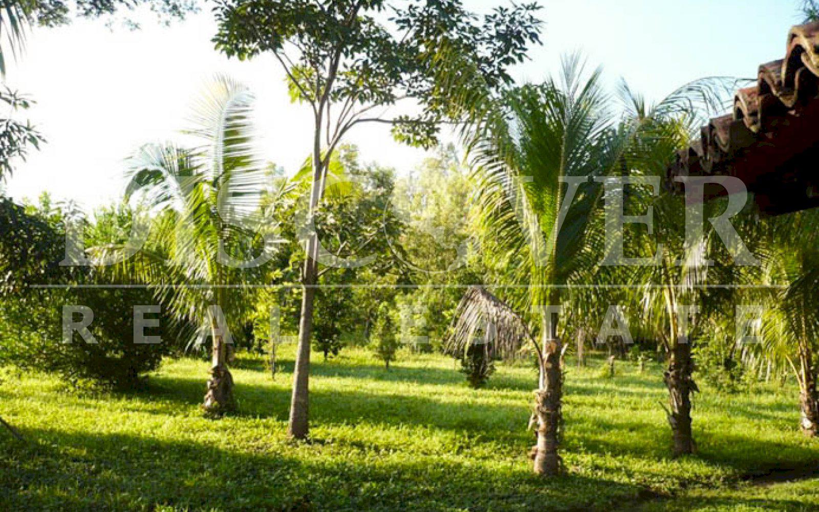https://images.discovernica.com/propiedad/1600/finca_renta_venta_leon_poneloya_6_manzanas_id_10547_5.jpg