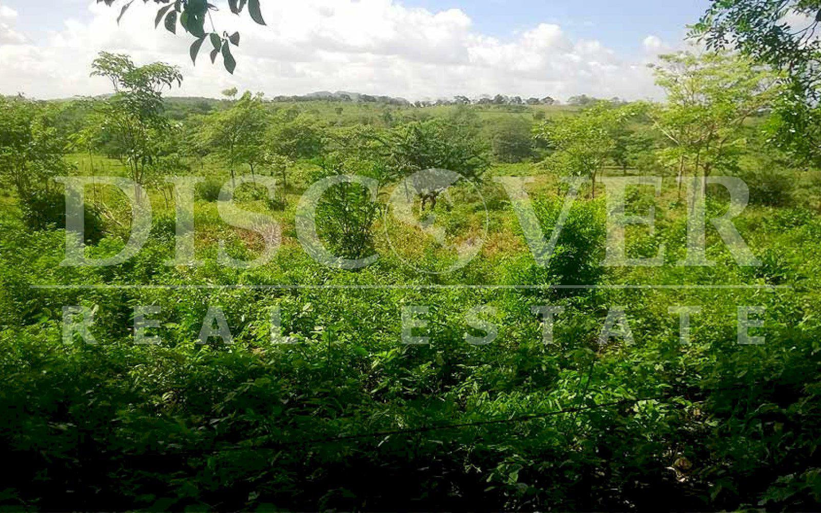 Flat Land for Sale at Road to Juigalpa ID 10030