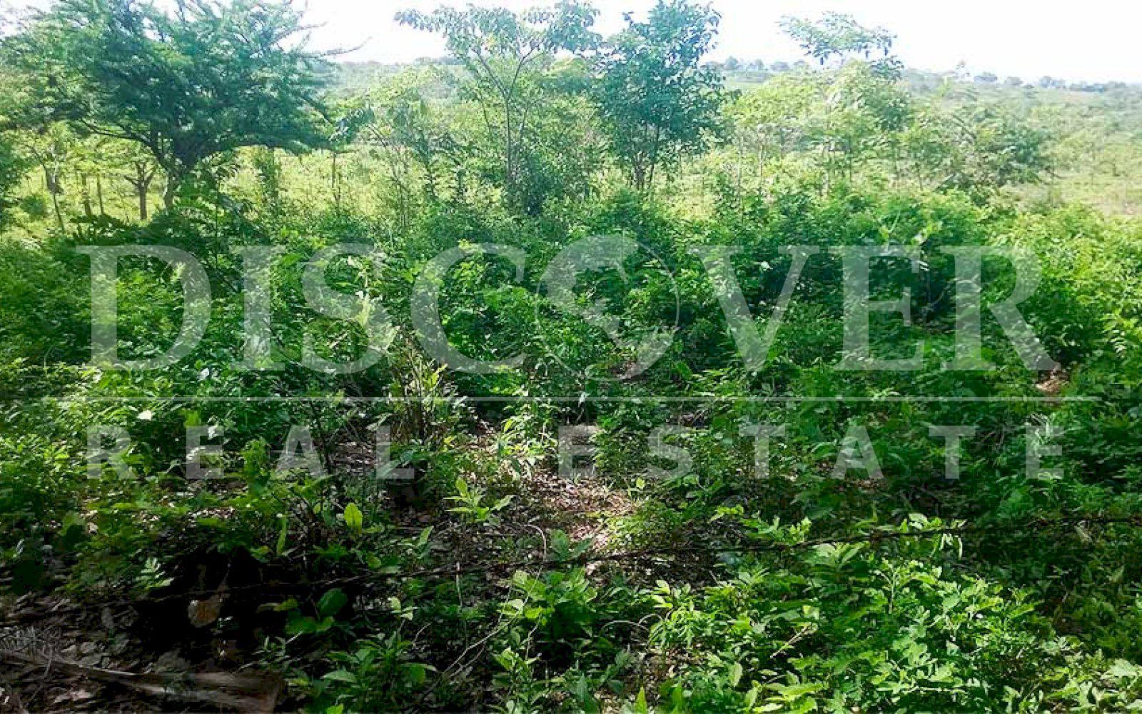  Flat Land for Sale at Road to Juigalpa ID 10030