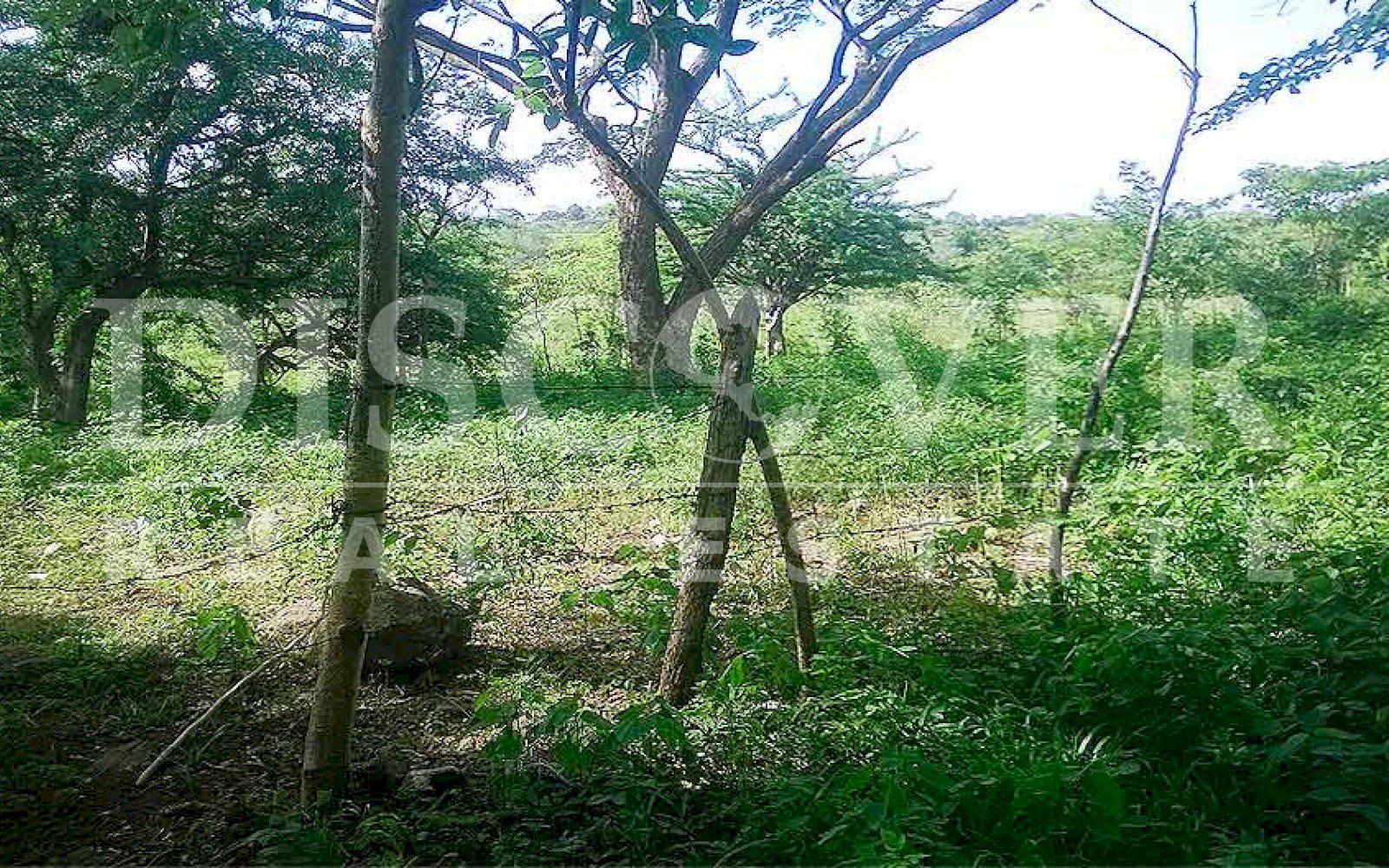  Flat Land for Sale at Road to Juigalpa ID 10030