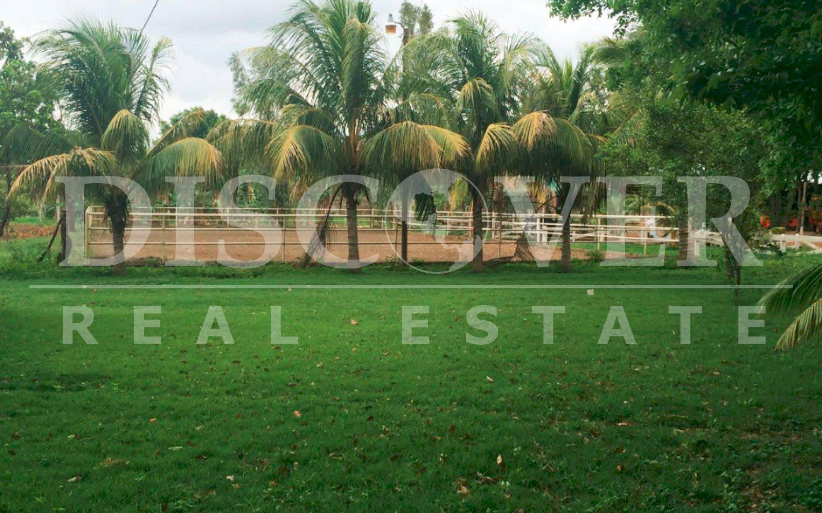 Imagen 8 de la galería