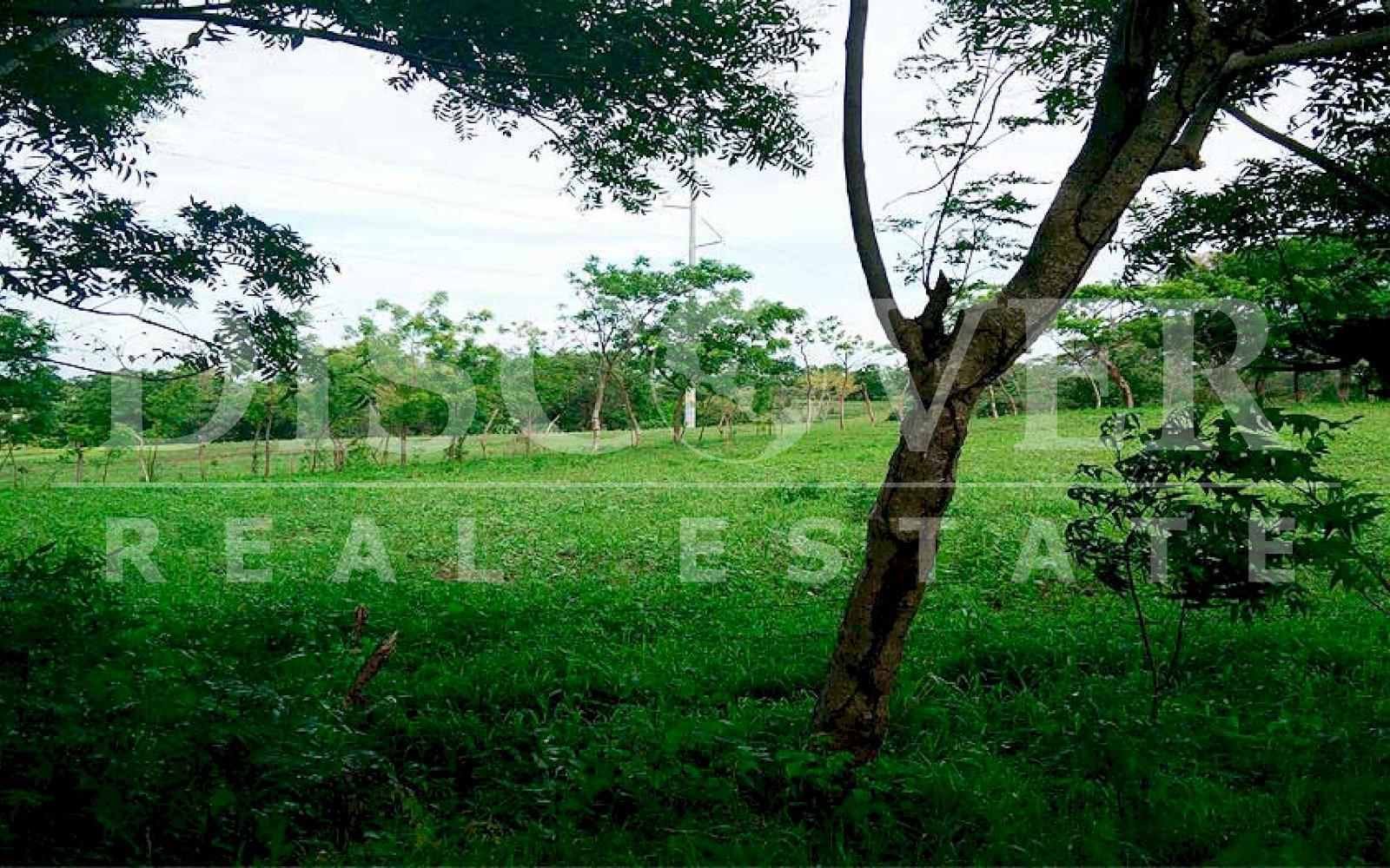  Land for Sale in Carretera Masaya-Tipitapa