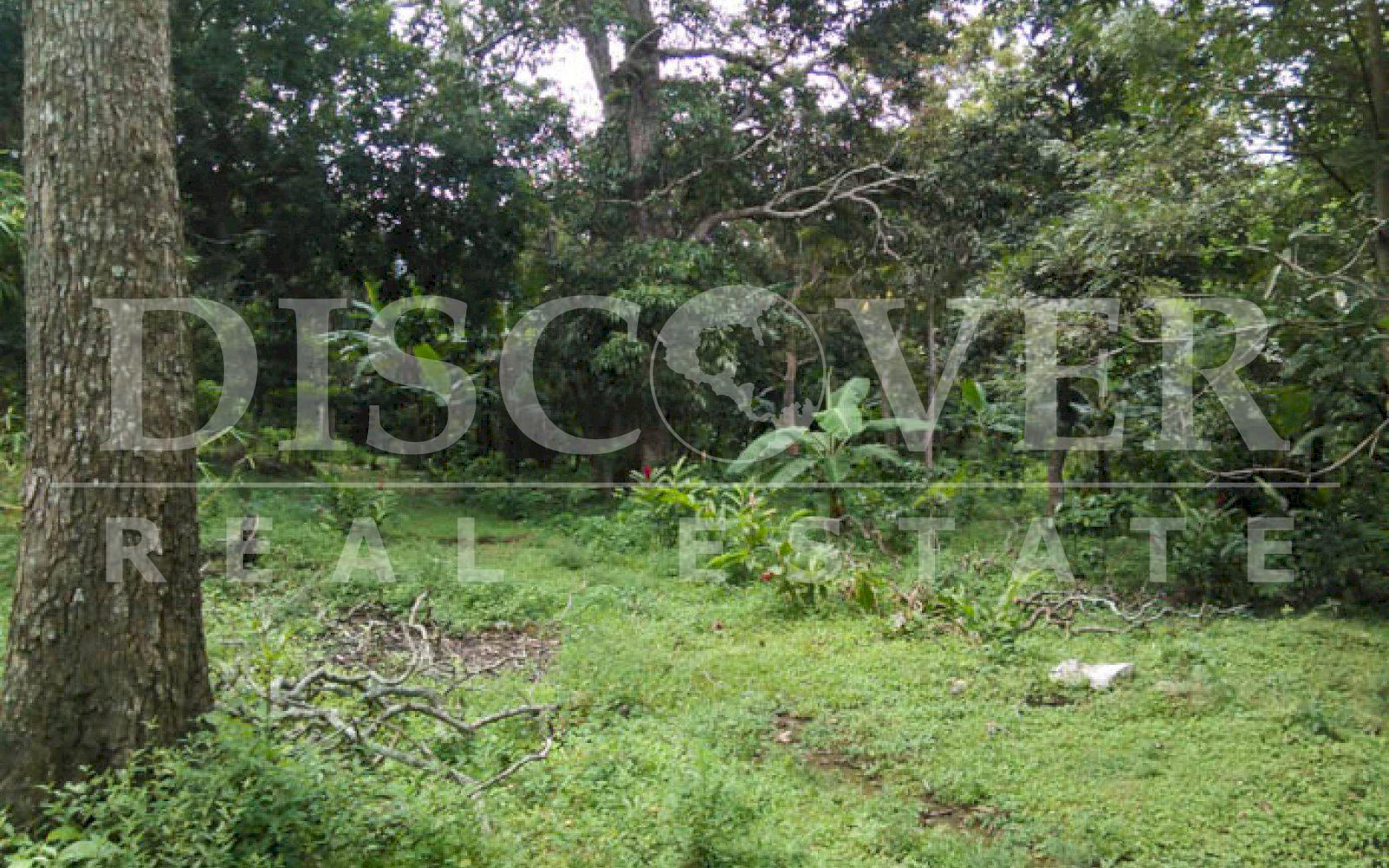 https://images.discovernica.com/propiedad/1600/finca_venta_casa_san_marco_nicaragua_id_10392_6.jpg