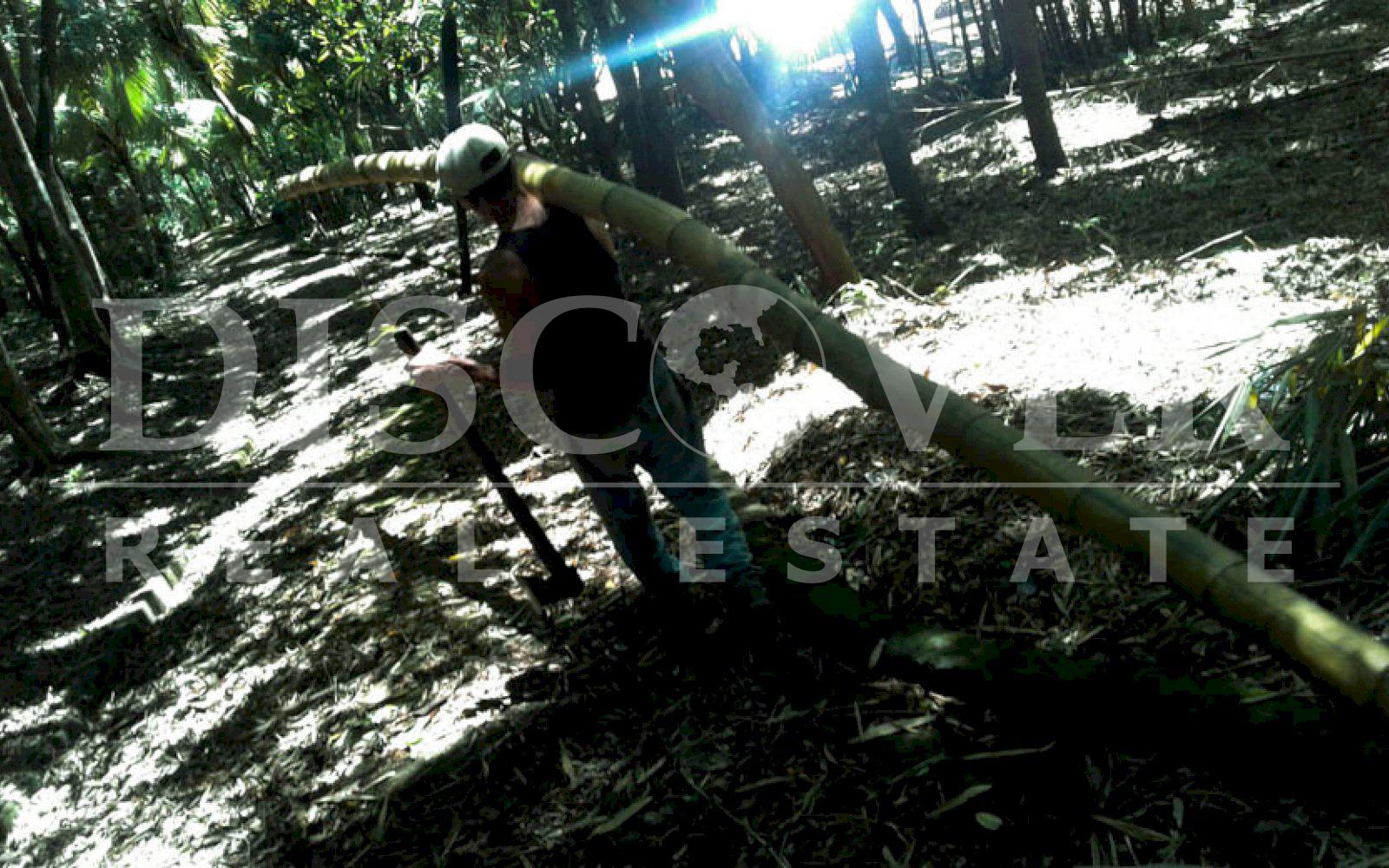 https://images.discovernica.com/propiedad/1600/finca_venta_catarina_9.6mz_km40_carretera_panamericana_arboles_frutales_US_480_000.00_6.jpg