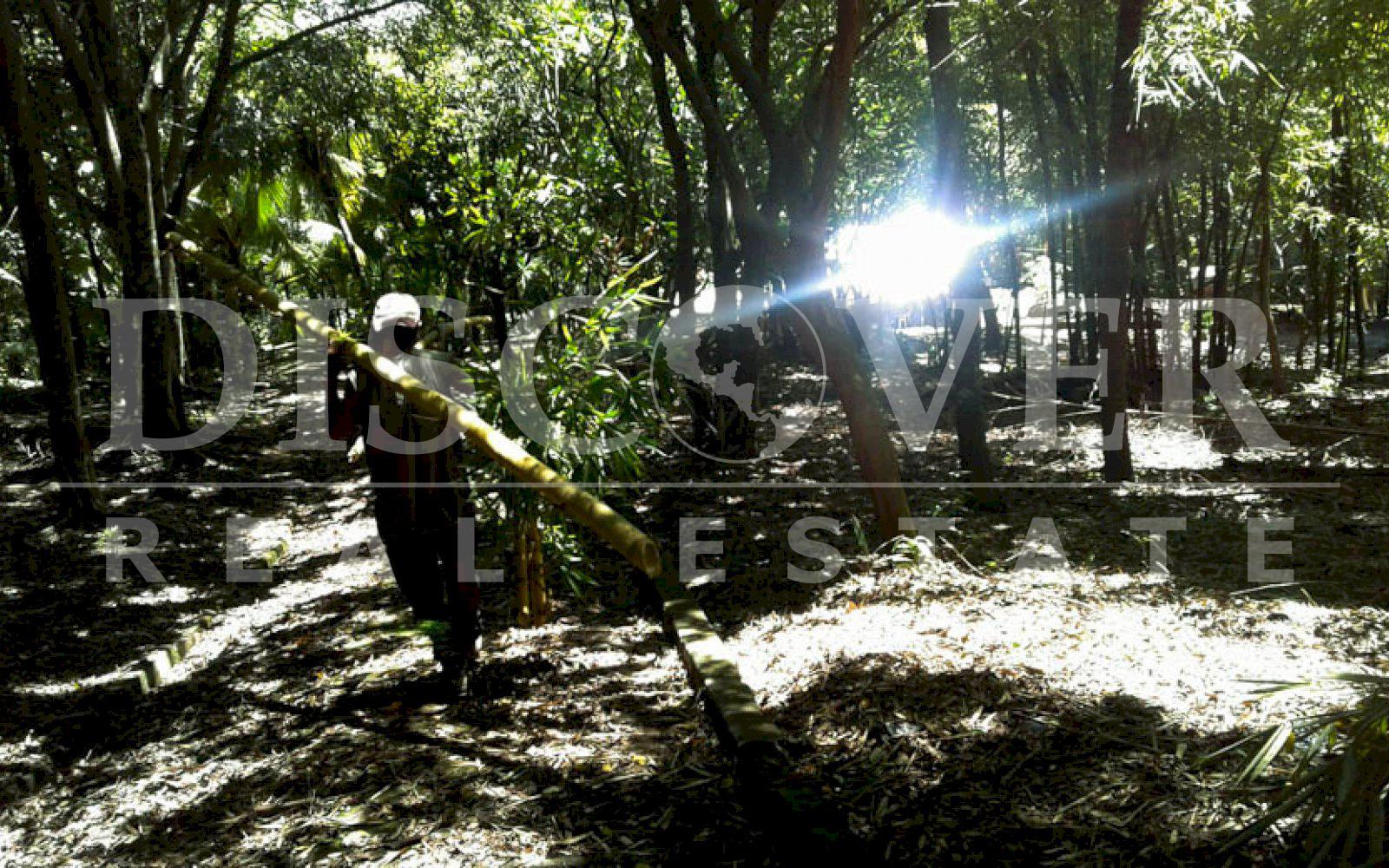 https://images.discovernica.com/propiedad/1600/finca_venta_catarina_9.6mz_km40_carretera_panamericana_arboles_frutales_US_480_000.00_7.jpg