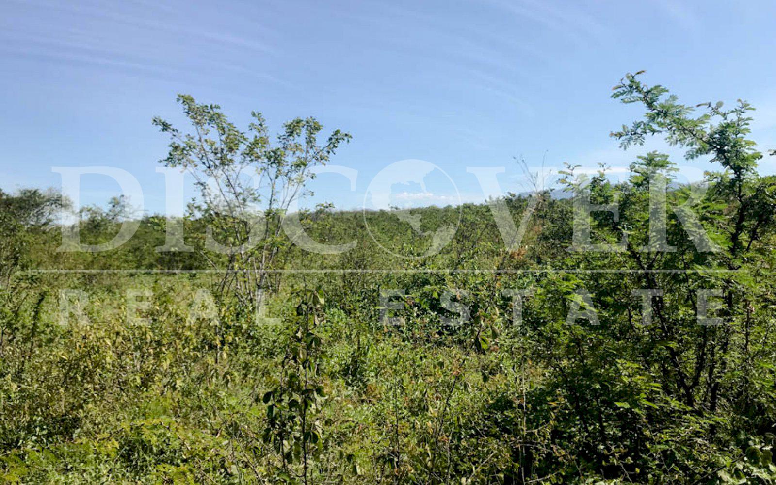 https://images.discovernica.com/propiedad/1600/finca_venta_ciudad_leon_6_manzanas_U_250.00_cada_manzana_ID11401.jpg